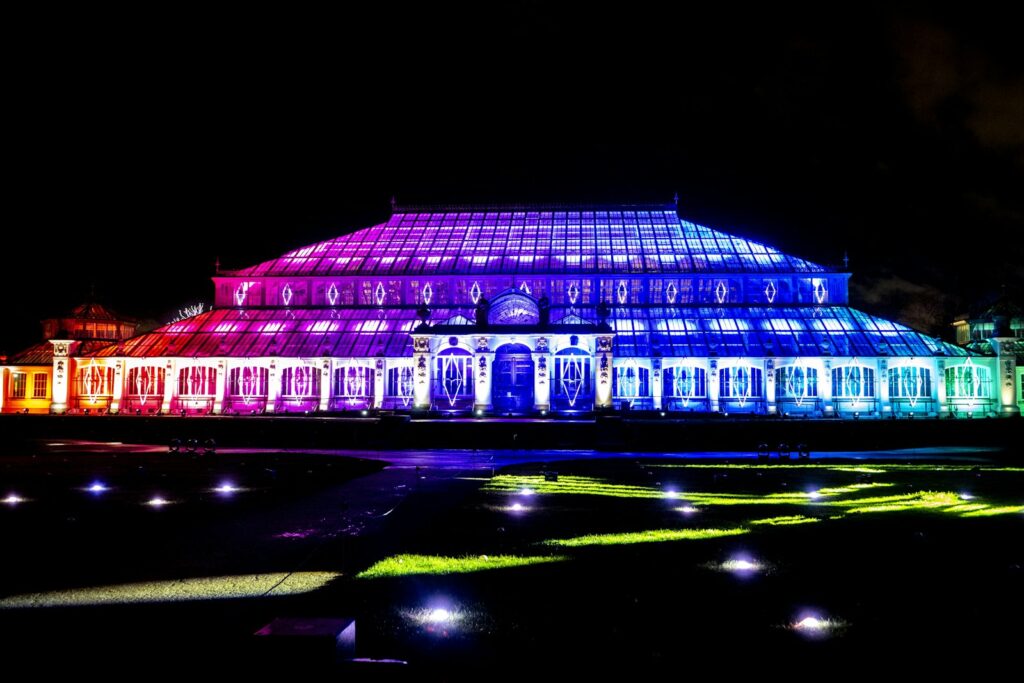 Une serre de Kew Gardens illuminée pendant Christmas at Kew
