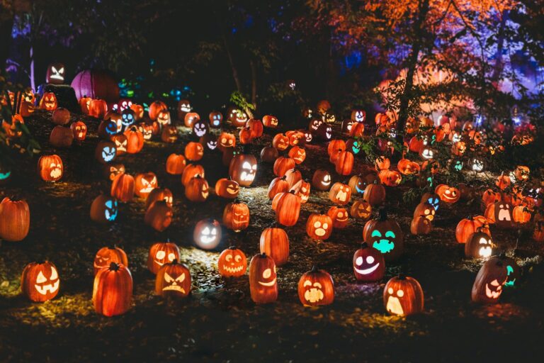 Citrouilles d'Halloween illuminées
