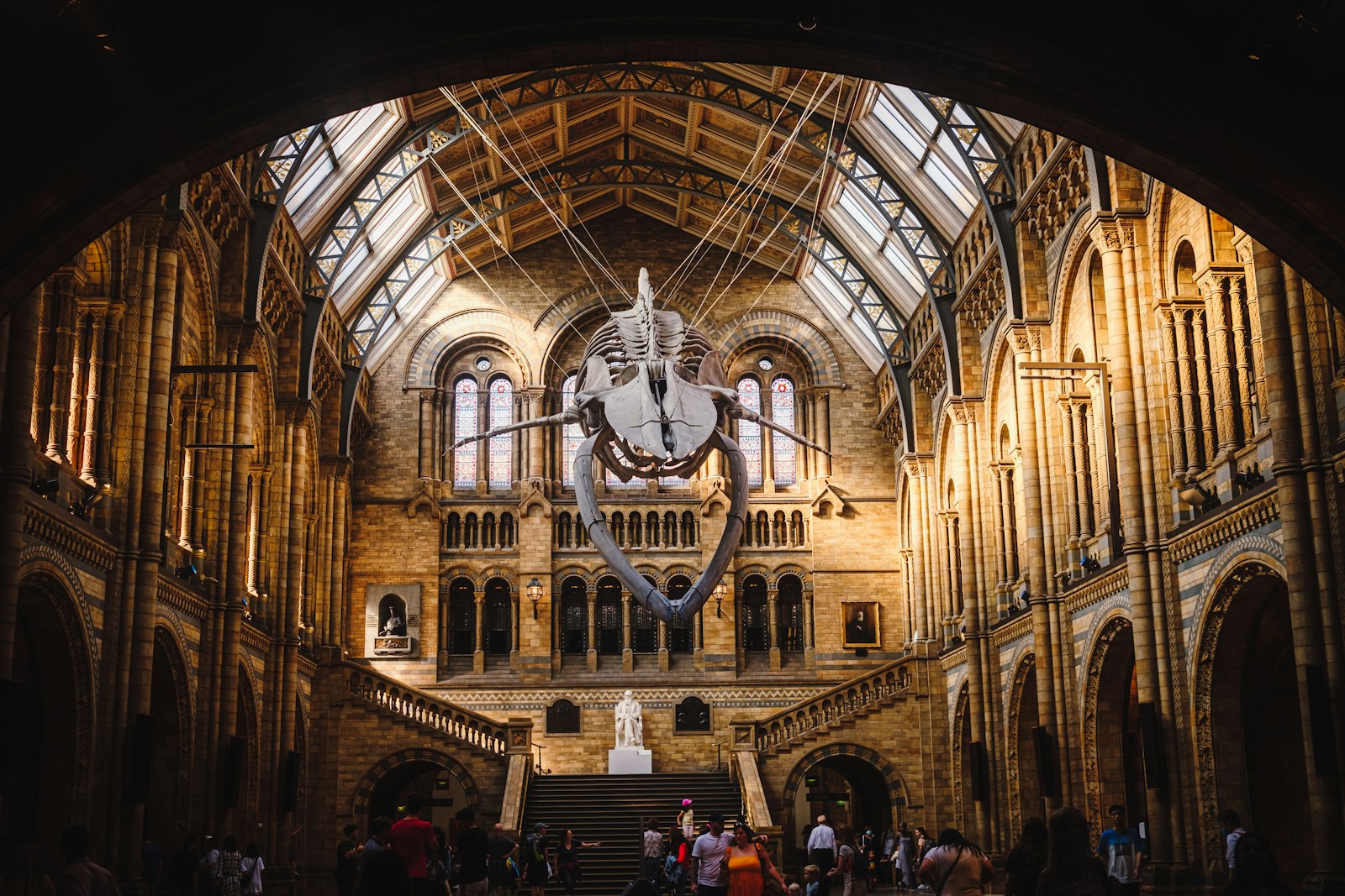 Le grand hall du Natural History Museum